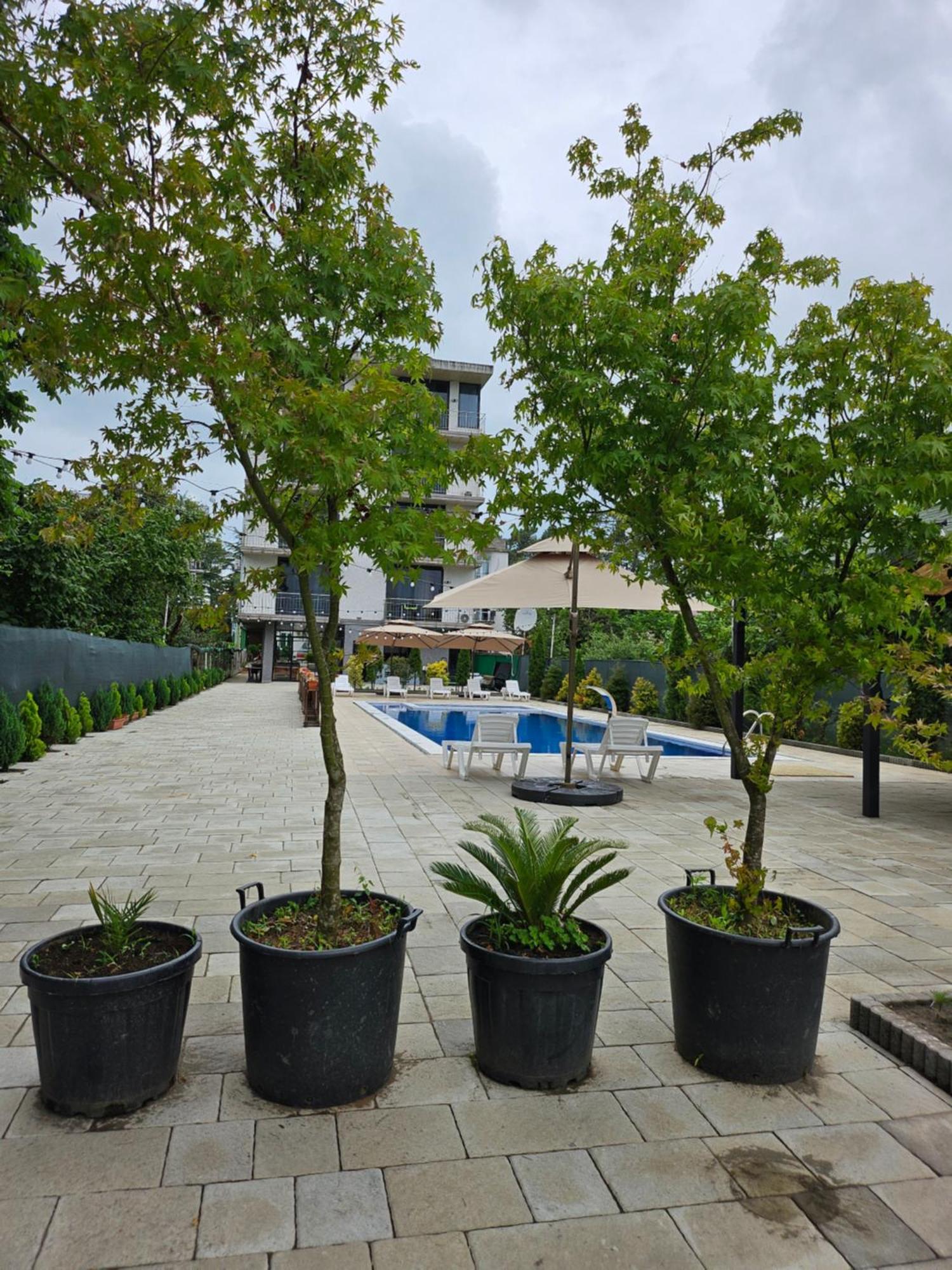 Green Terrace Kobuleti Exterior foto